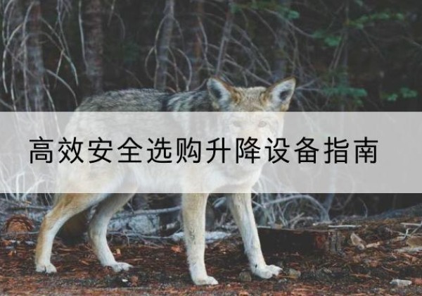 灵台升降货梯厂家推荐-*安全选购升降设备指南