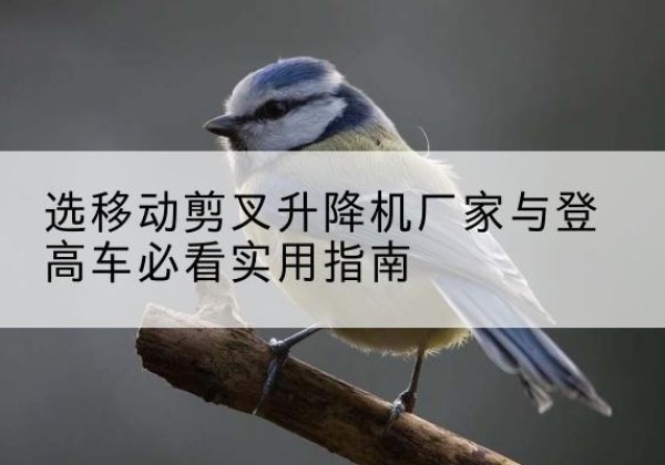 灵台电动升降机厂家-选移动剪叉升降机厂家与登高车必看实用指南