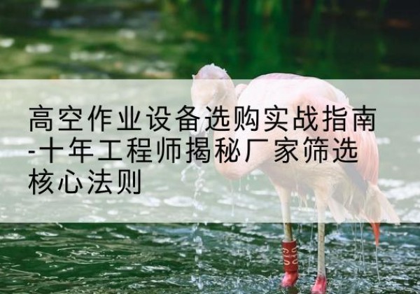 灵台剪叉式升降机厂家-高空作业设备选购实战指南-十年工程师揭秘厂家筛选核心法则